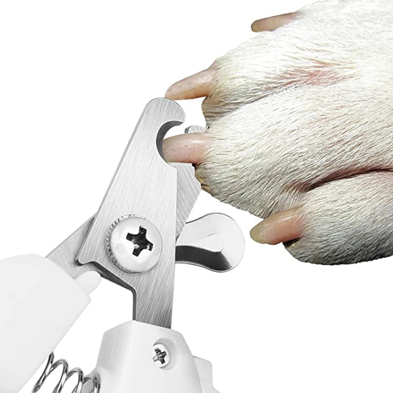 Coupe-ongles pour animaux de compagnie, en acier inoxydable, accessoire de toilettage