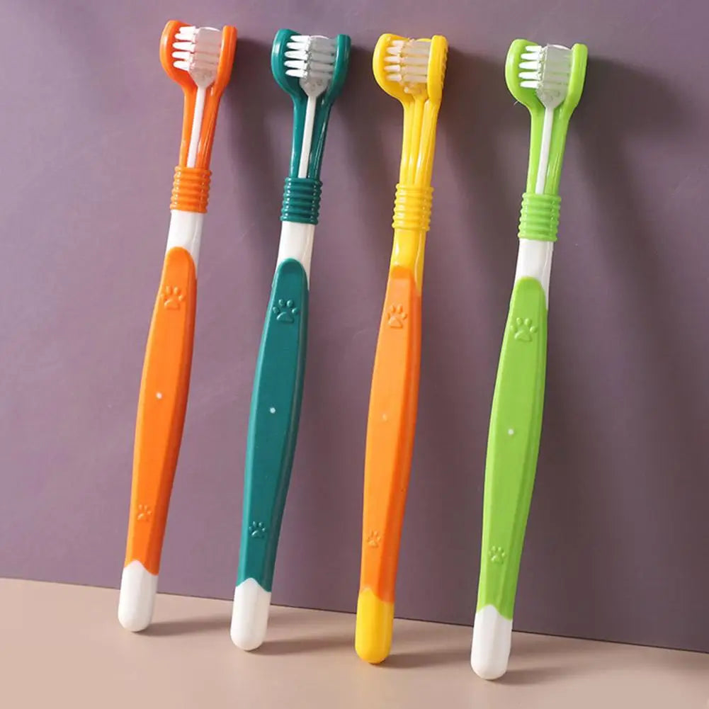 Brosse à dents à trois têtes pour animaux de compagnie, nettoyage buccal