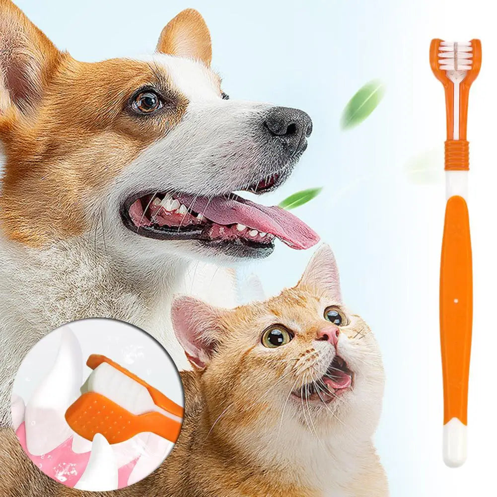 Brosse à dents à trois têtes pour animaux de compagnie, nettoyage buccal