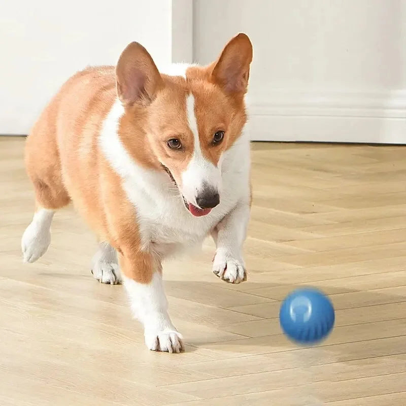 Jouet intelligent pour chien, balle électronique interactive pour animaux