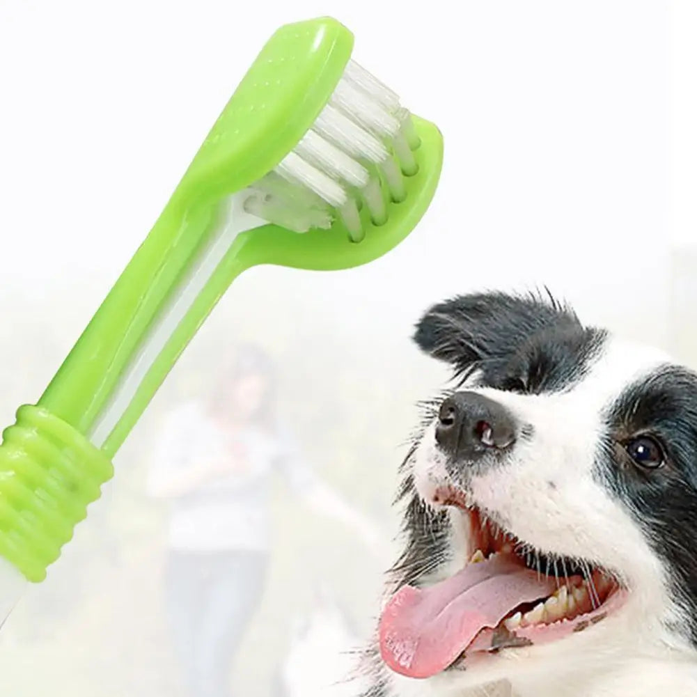 Brosse à dents à trois têtes pour animaux de compagnie, nettoyage buccal